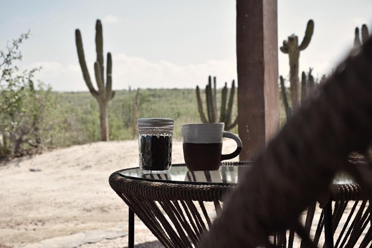 Desierto Azul Ξενοδοχείο Todos Santos Εξωτερικό φωτογραφία